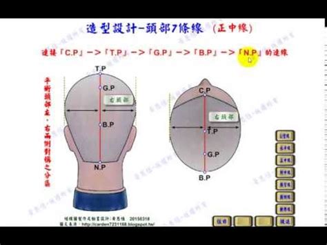 頭部七條基準線中的側中線，其中心點為